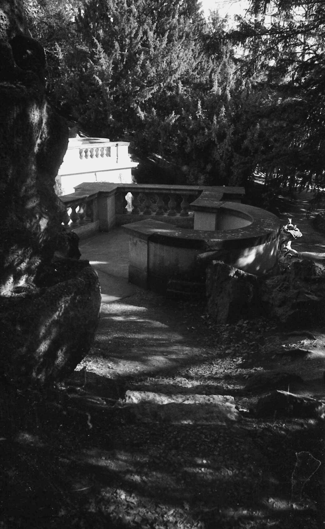 img0220_11