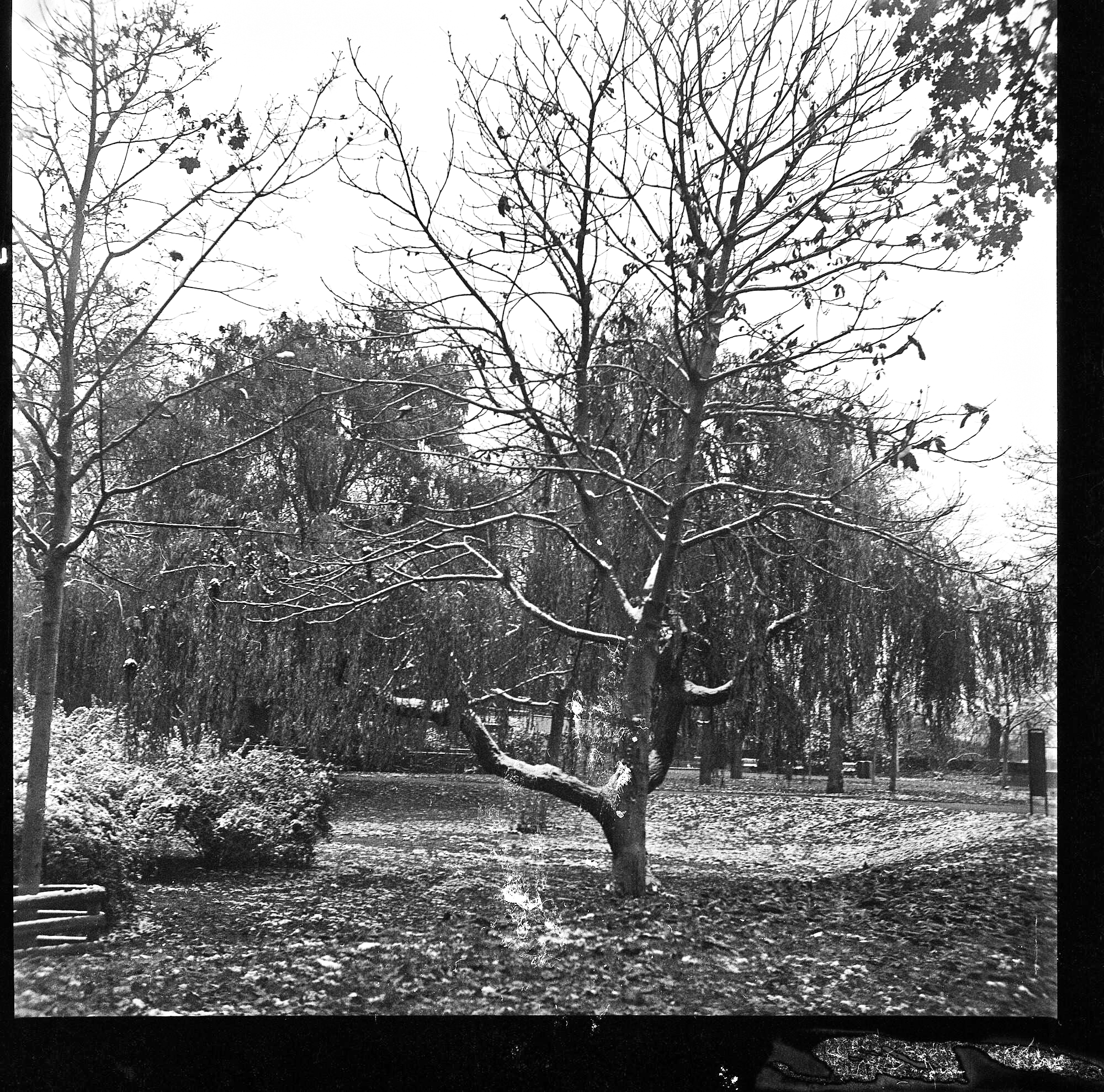 img0010_16