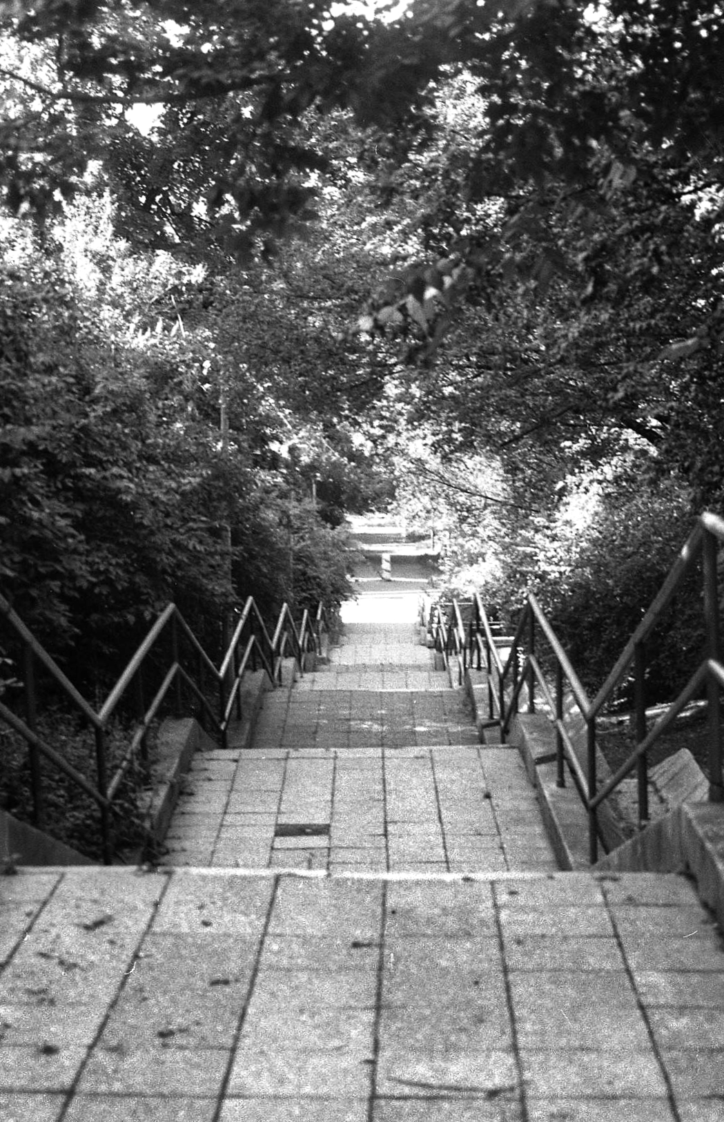 img0020_8