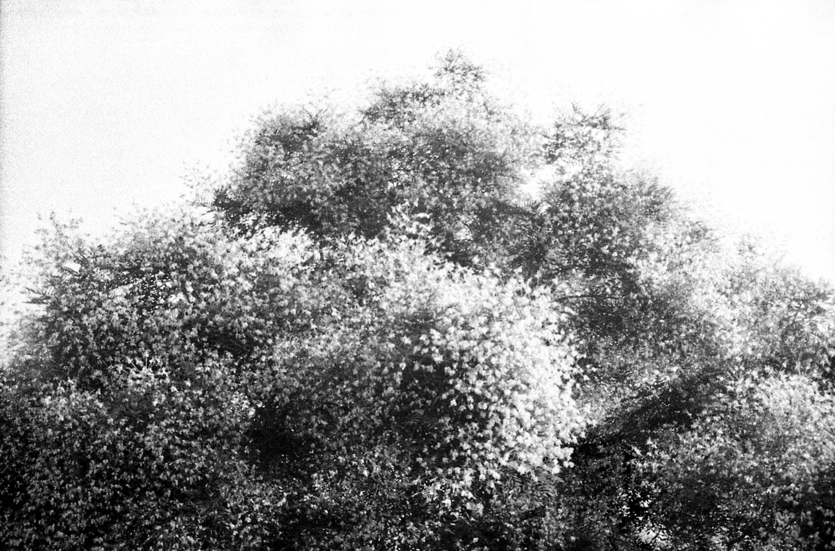 img0060_6