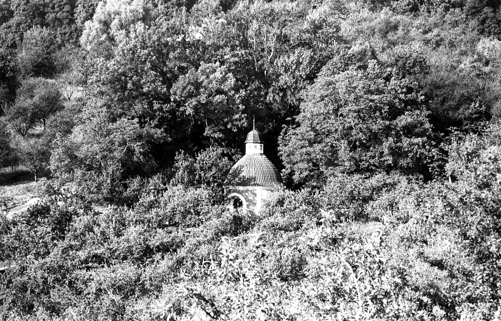 img0080_3