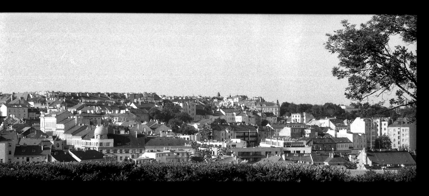 img0090_6